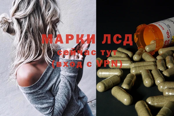 ECSTASY Вязьма